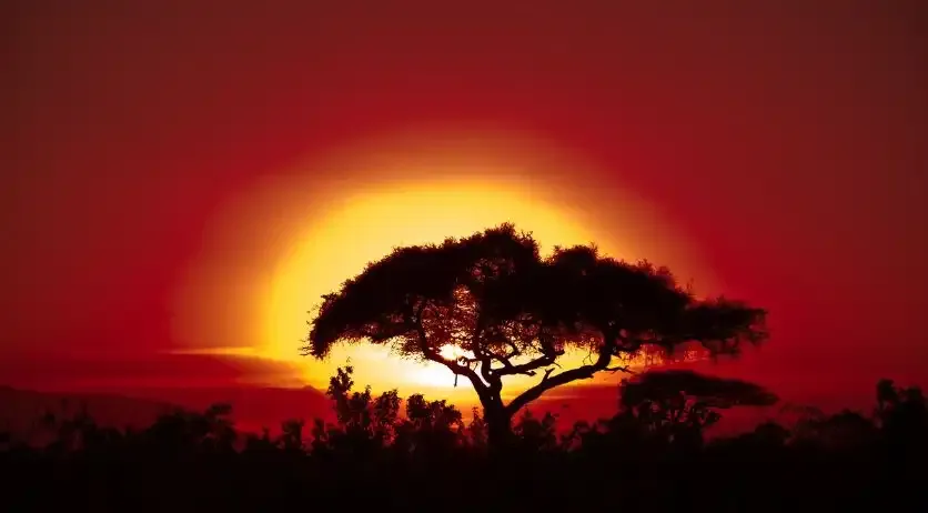 Chasing Sunsets: The Top 5 Hidden Gems in East Africa