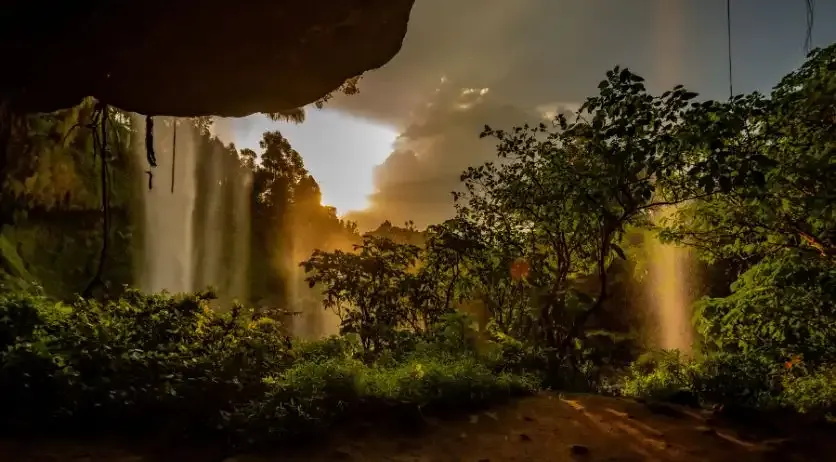 Discover the Pearl of Africa: Why Uganda Should Be Your Next Destination