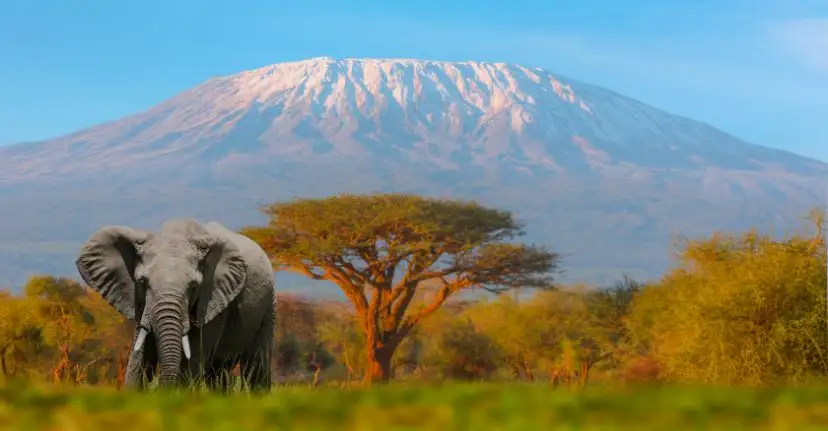 TANZANIA: Where Nature Comes Alive