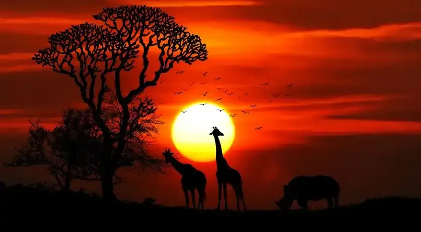 Safari Reimagined: The Rise of Sustainable Tourism in Africa