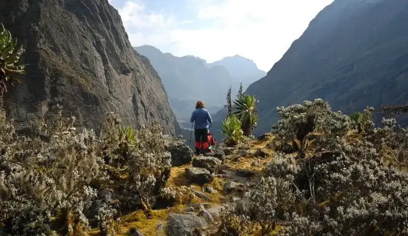 Mountain Rwenzori Trek — 5 Days 2