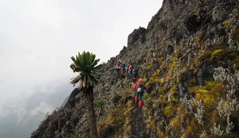 Mountain Rwenzori Trek — 5 Days 1