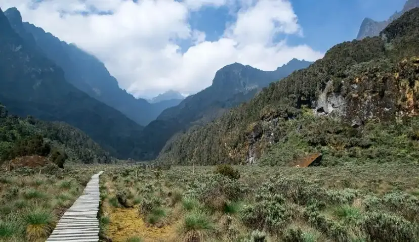 Mountain Rwenzori Trek — 5 Days